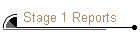 Stage 1 Reports
